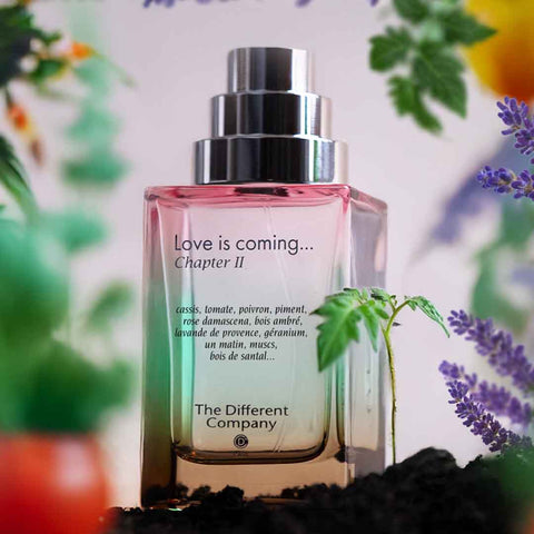 Love is Coming, Chapter II